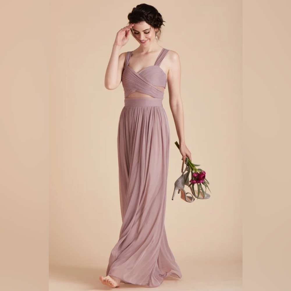 Birds Grey Elsye Dress Size Large in Mesh Mauve